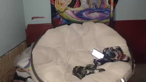 Bent Bunny online show from 07-22-26, 02:53