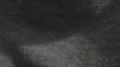 Snapshot of benx12123 chatting on 01-04-25, 03:40 benx12123 online show from 01-04-25, 03:40