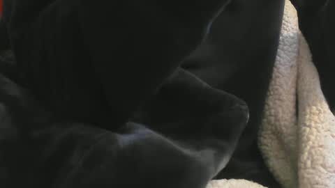 Snapshot of benx12123 chatting on 02-16-25, 06:21 benx12123 online show from 02-16-25, 06:21