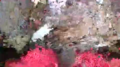 Snapshot of bertdollaz757 chatting on 05-20-26, 05:19 ToxicPipe757 online show from 05-20-26, 05:19