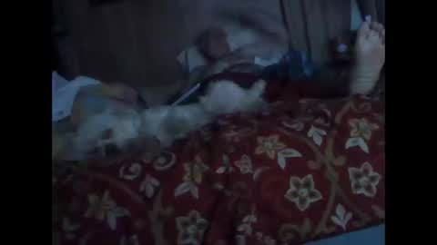 Snapshot of bigbenidick1 chatting on 10-20-25, 01:28 BB online show from 10-20-25, 01:28