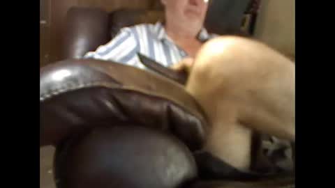 BB online show from 11-26-25, 04:41