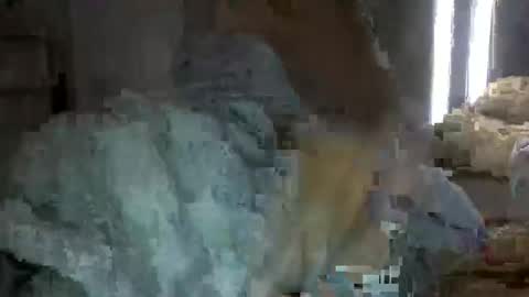 bigbootydimpless online show from 12-12-24, 02:15