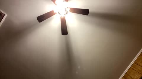 Snapshot of bigcock4yourwetcunt chatting on 03-12-25, 04:51 bigcock4yourwetcunt online show from 03-12-25, 04:51