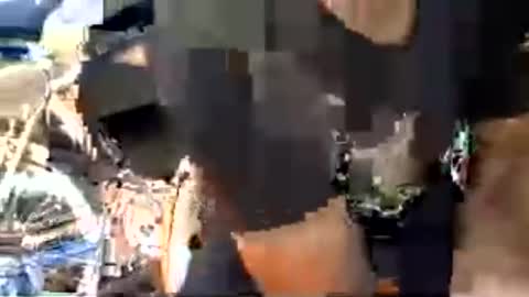 bigcok4you6969 online show from 06-15-26, 08:44