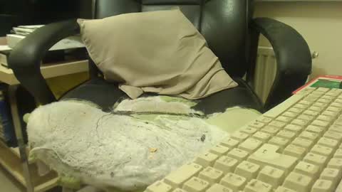 bigcurve online show from 01-30-25, 08:21