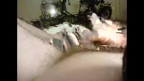 bigdaddydongarlets391292 online show from 09-29-25, 11:04