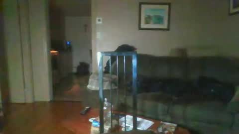 bigdeer581917471 online show from 02-01-25, 08:08