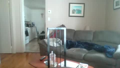 bigdeer581917471 online show from 02-02-25, 05:48