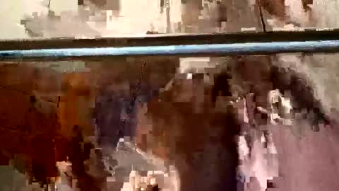 bigdick31589 online show from 05-04-26, 09:27