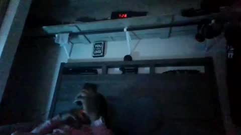 Snapshot of bigdickdaddy3200798456 chatting on 12-28-24, 01:08 bigdickdaddy3200798456 online show from 12-28-24, 01:08