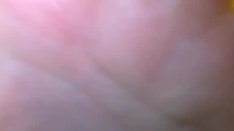 bigdickitalian137 online show from 09-29-25, 08:35