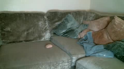 Snapshot of bigdickjimmywill chatting on 02-11-25, 05:47 CAJEinc online show from 02-11-25, 05:47