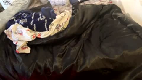 bigdickpapishampoo online show from 02-07-26, 06:44