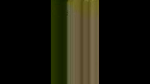 bigdog9thick online show from 04-03-26, 11:41