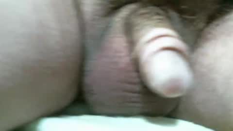 BigDog online show from 11-11-25, 07:03