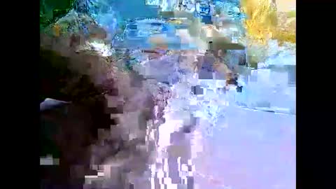 Mr Alpha online show from 12-11-24, 02:41