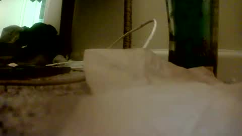 Snapshot of bigguypete1999 chatting on 11-16-25, 01:55 Peter Paul online show from 11-16-25, 01:55