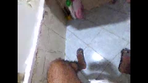 bighdasehzada online show from 04-19-26, 08:24