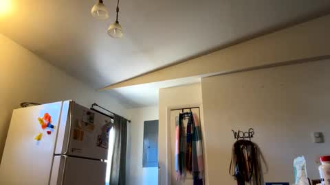 Daniel  Noelia online show from 02-27-25, 07:04