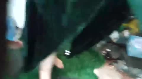 bigmanaround9 online show from 09-15-25, 08:47