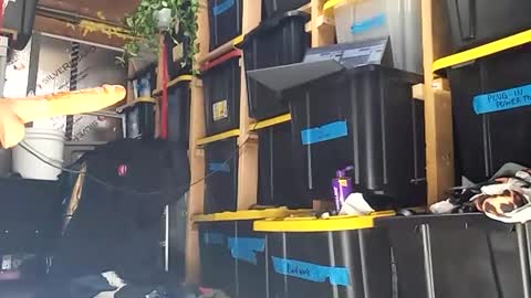 bigmanaround9 online show from 12-15-25, 08:35