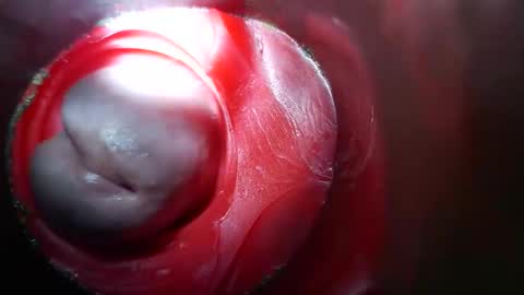 Snapshot of bigmoneycorey chatting on 03-10-26, 03:50 bigmoneycorey online show from 03-10-26, 03:50