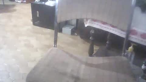 bigpenix online show from 04-01-26, 01:39