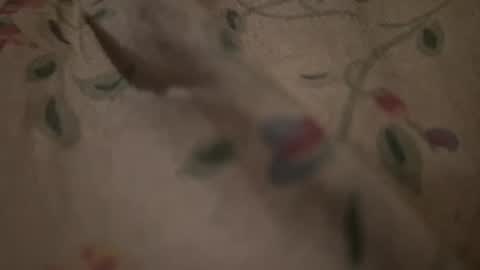 bigpoppadutch666 online show from 01-16-26, 12:53