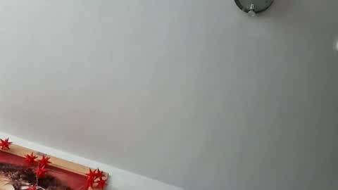 Snapshot of bigreallover chatting on 09-11-25, 04:07 ...... online show from 09-11-25, 04:07