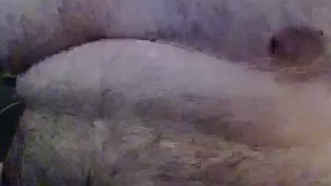 Snapshot of bigstudfred chatting on 04-23-26, 11:20 jason online show from 04-23-26, 11:20