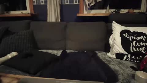 bigswe1 online show from 12-16-24, 04:23