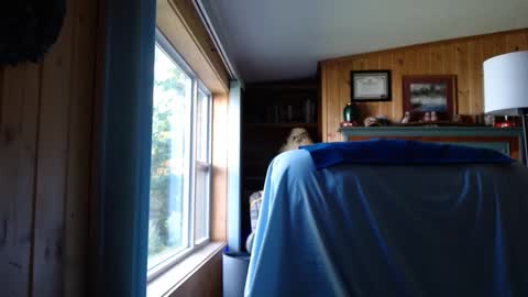 bigthicksatisfying2 online show from 09-17-25, 08:32