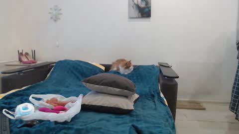 BigTwinsOmg online show from 02-27-26, 05:51