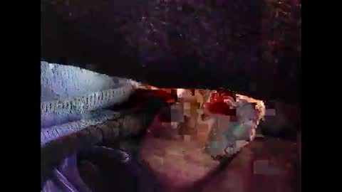 Snapshot of bilco03 chatting on 10-29-25, 11:56 bilco03 online show from 10-29-25, 11:56