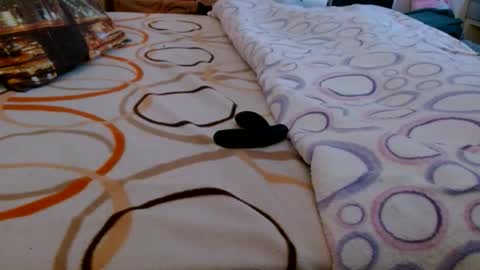 Bill online show from 03-16-26, 06:50