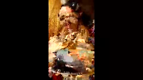 bina241986 online show from 06-10-26, 05:01
