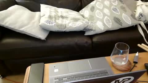 bindmedown online show from 02-07-25, 11:13