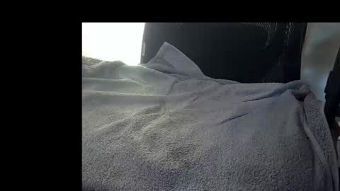Snapshot of bislider chatting on 11-12-25, 09:10 bislider online show from 11-12-25, 09:10