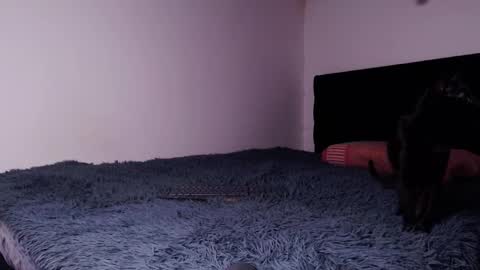 Snapshot of black_firex chatting on 10-06-25, 04:59 black_firex online show from 10-06-25, 04:59