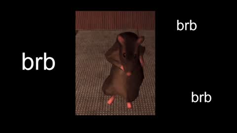  Black Kittie    Wednesday - 1300 - 1900 GMT help me get 100 thumbs up online show from 01-20-25, 01:21