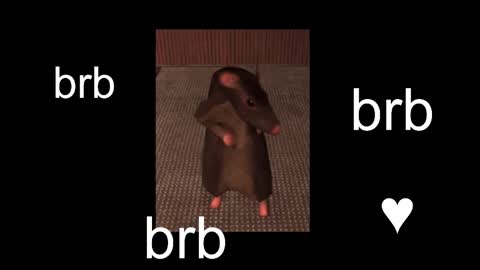  Black Kittie    Wednesday - 1300 - 1900 GMT help me get 100 thumbs up online show from 09-09-25, 12:15