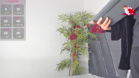 B L A C K  R O S E  online show from 03-10-25, 11:42