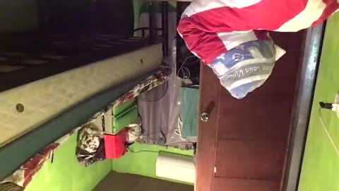 Crystal online show from 02-20-26, 02:30