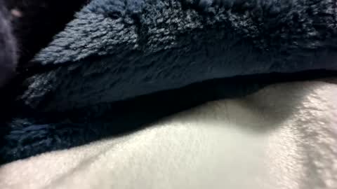 blackhammer8787 online show from 12-08-24, 06:43