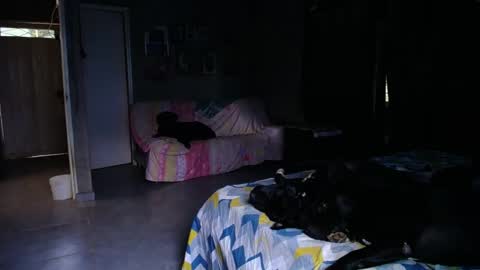 Snapshot of blackpanter_13 chatting on 04-29-26, 11:25 Black Panther online show from 04-29-26, 11:25