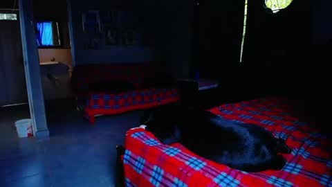 Snapshot of blackpanter_13 chatting on 05-01-26, 11:04 Black Panther online show from 05-01-26, 11:04