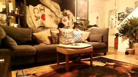 blackriches96 online show from 02-14-26, 08:33