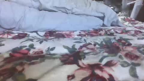 blame1269 online show from 10-27-25, 07:07