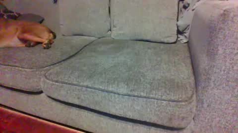 blaw_1321 online show from 09-29-25, 04:50